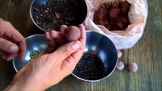 How To Make Seed Bombs