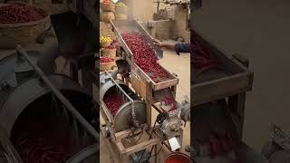 🌶️ Amazing Red Chilli Processing Machine | From Fresh Chilli to Powder in Minutes! 😱