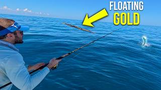 We Found THIS Floating Offshore… and it was LOADED with Mahi | Catch and Cook