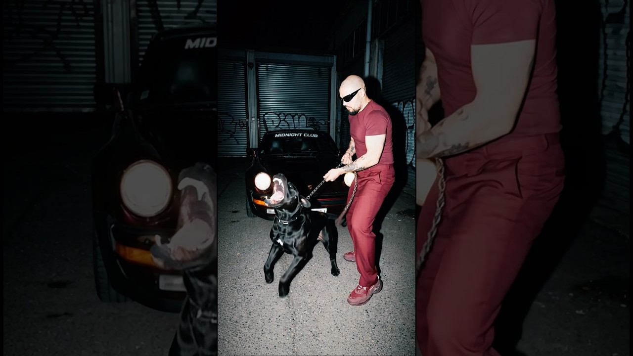 Собака лучший друг 🐕 dog is best friend 