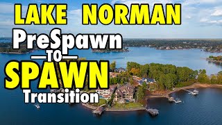 Lake Norman Got Tough As the Bass Move to Spawn Transition