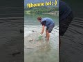 Le silure doit être respecté