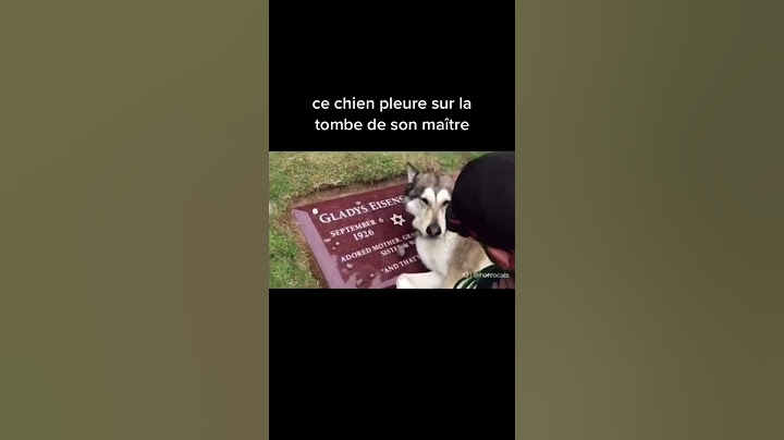 voici une vidéo qui va vous faire pleurer 😢 ￼