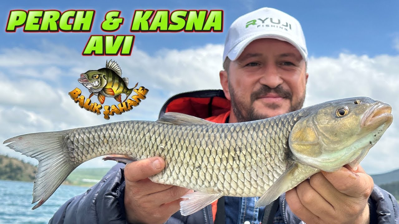 Perch Ve Kefal Avı. Perchler Çifter Geldi.Boş Yok İndir Bindir…