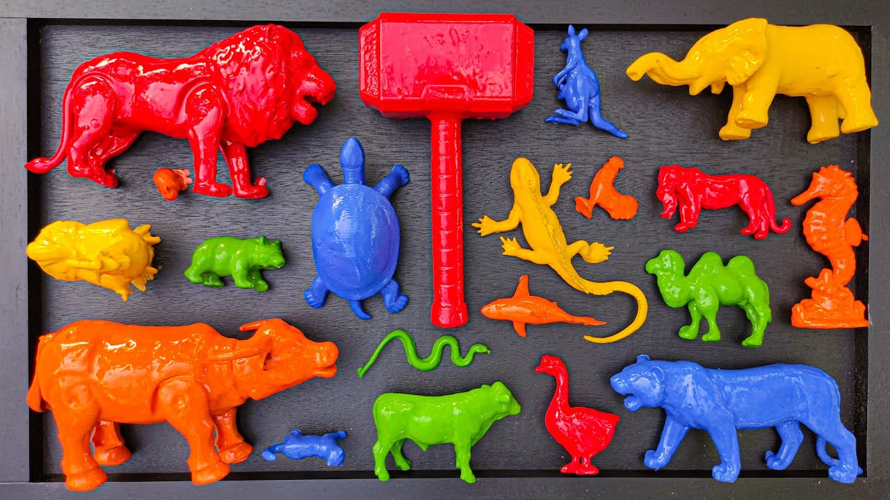 Membersihkan hewan sapi, bebek, angsa, ayam, gajah, simpanse, singa, unta, buaya, kangguru