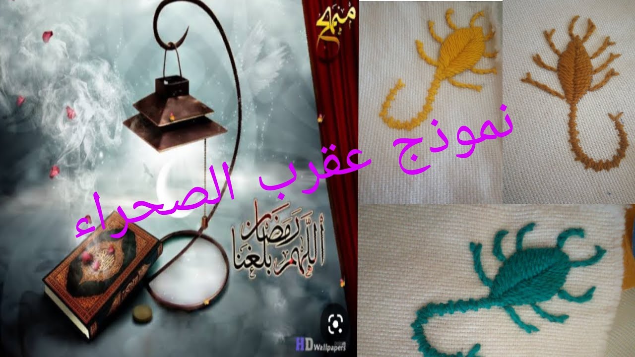 طرز التقليدي تقرت نموذج عقرب الصحراء