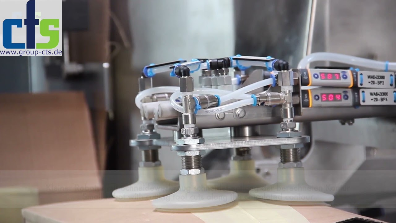 Karton - Entpackungsanlage für Lebensmittel