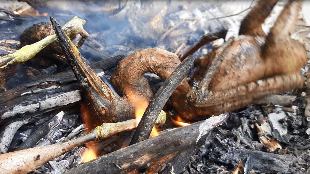 How to cook  crane bird Fry|Crane hunting|Village style street food| Road side food cooking