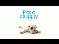 Pick a Puppy - Season 1, Episode 6