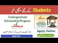 What is Ehsaas Scholarship Program? Online apply for Ehsaas Undergraduate Scholarship program