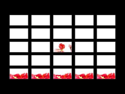 5×5_33『Romanticist Lunch  3/花占い』