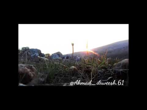 حالات واتس يا غالي انشغل بالي