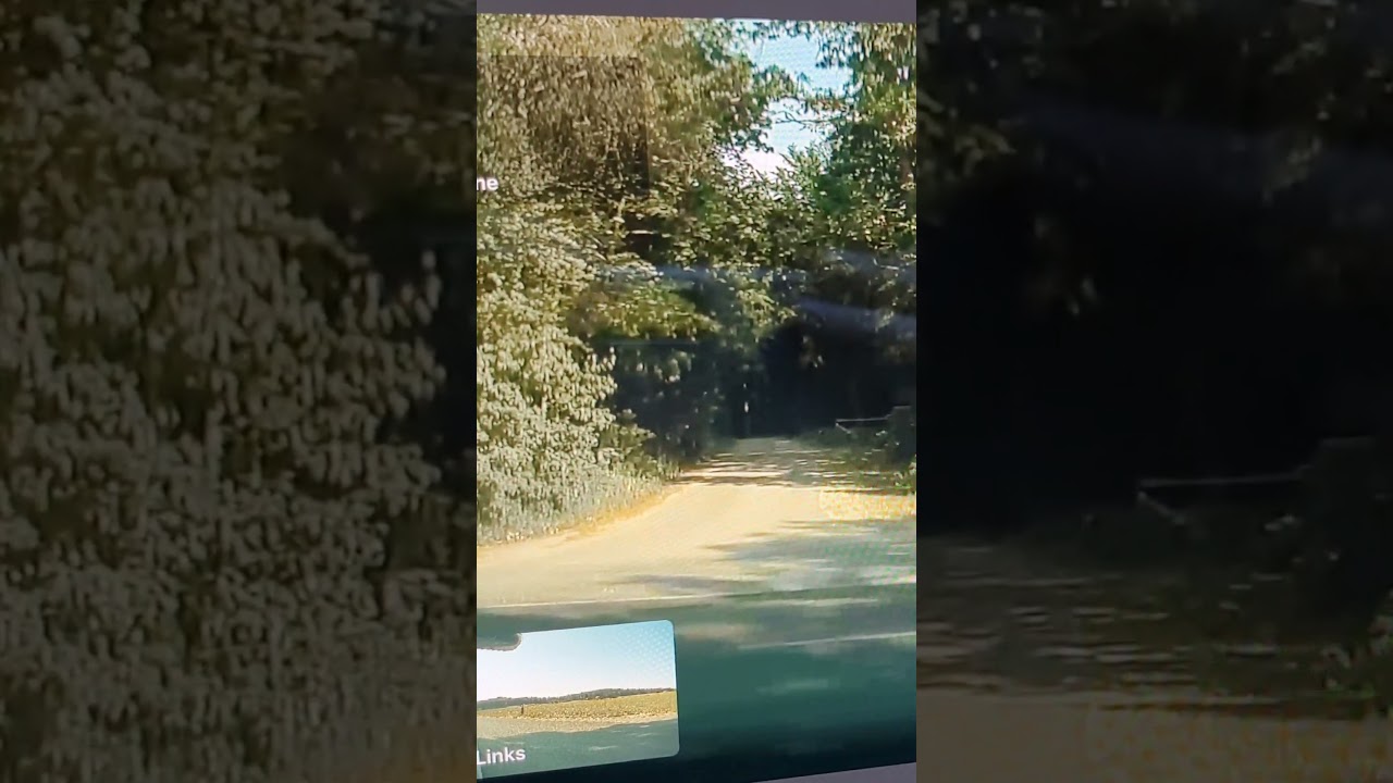 Das war knapp. Beinahe Unfall an einer Kreuzung. Blinker gesetzt und doch nicht abgebogen.