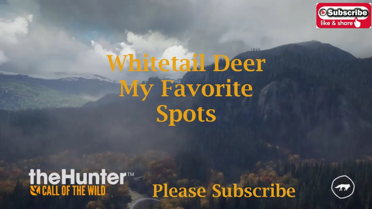 Whitetail Deer my favorite spots 2020 theHunter Call of the Wild YouTube