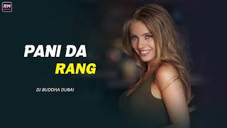 Pani Da Rang (Remix) Dj Buddha Dubai | Vicky Donor | Ayushmann Khurrana \u0026 Yami Gautam | Remix Music