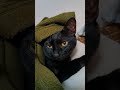寝相のおてても寝起きもどっちもかわいい!