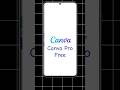 Canva pro free bingotingo #free #canva #freecanvapro #pro #2025 #shorts #bingotingo #tubesensi