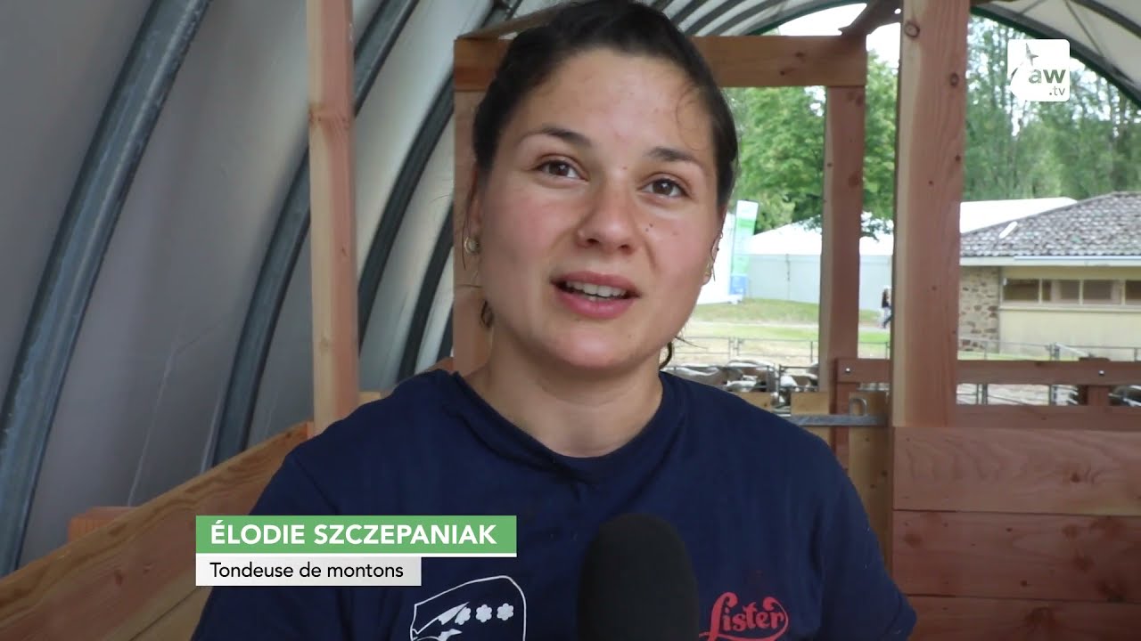 Retour sur la 12e édition de Tech-Ovin, le salon national du mouton