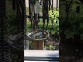 DIY birdbath dripper for $0