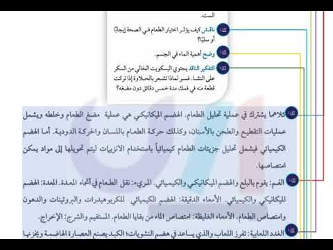 قارن بين الهضم الكيميائي والهضم الميكانيكي