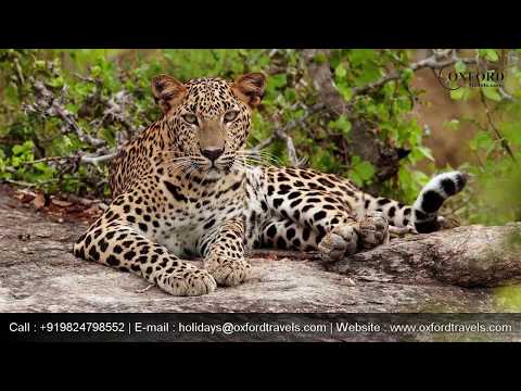 top-10-best-places-to-visit-in-asia