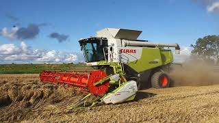 Tarwe oogst 2021 met CLAAS Lexion 770 TT.  Westerhof Woldendorp screenshot 4