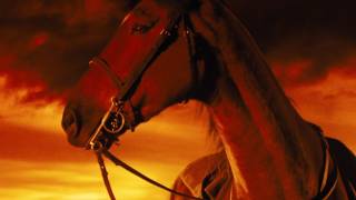 War Horse Trailer 2011 - Official Hd