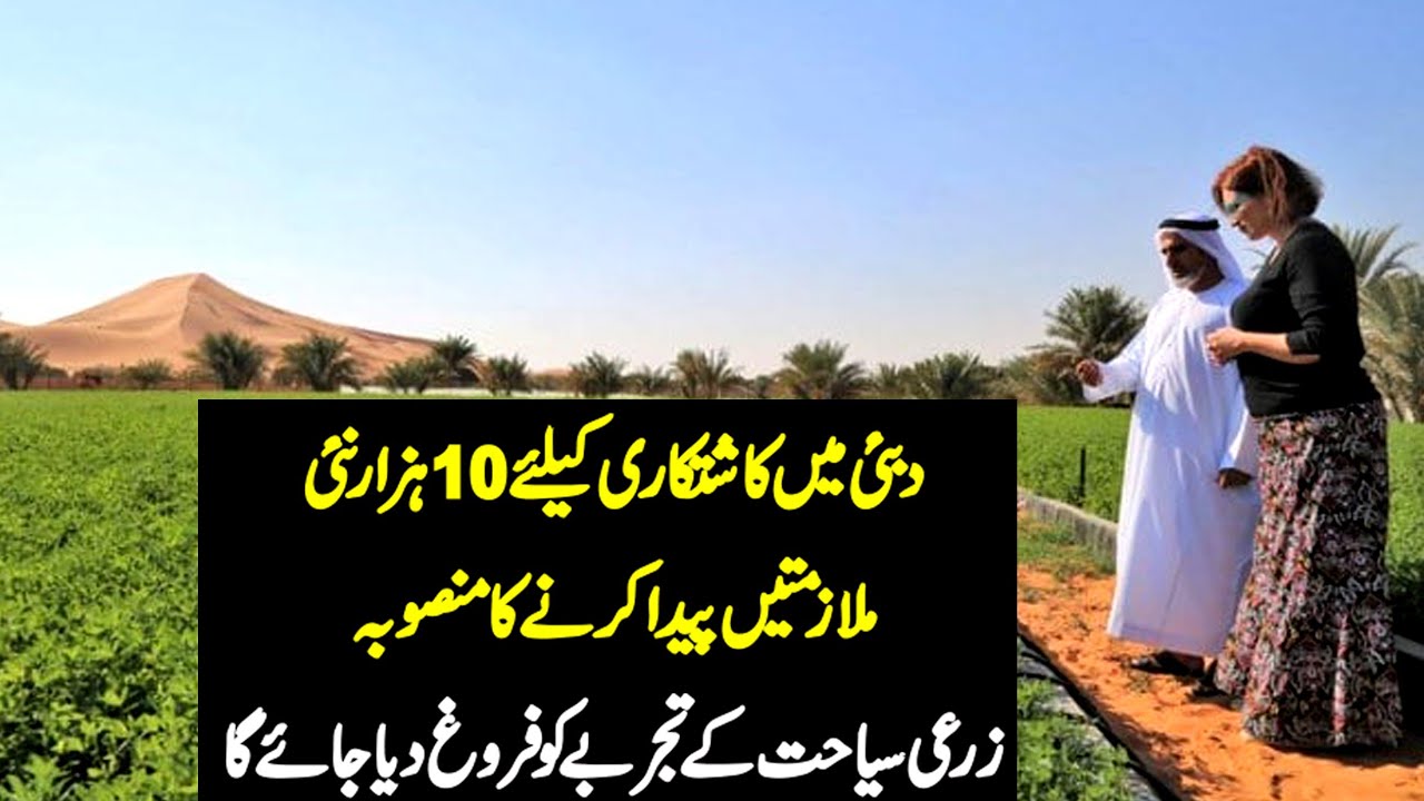 New Project in Dubai For Jobs Opportunities | Agriculture Field Project Announuned in Dubai For Job