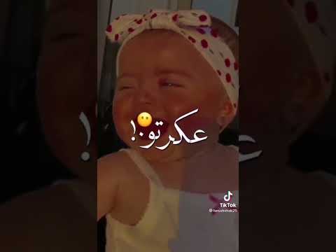 مهرجانات ضحكته يلهوي ربابه