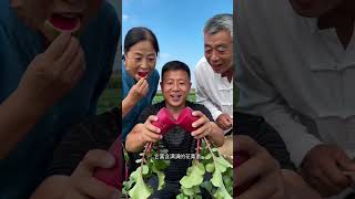 Crisp & Sweet Fruit Radish ๐ฑ๐ฅ | Fresh Farm Harvest#cow