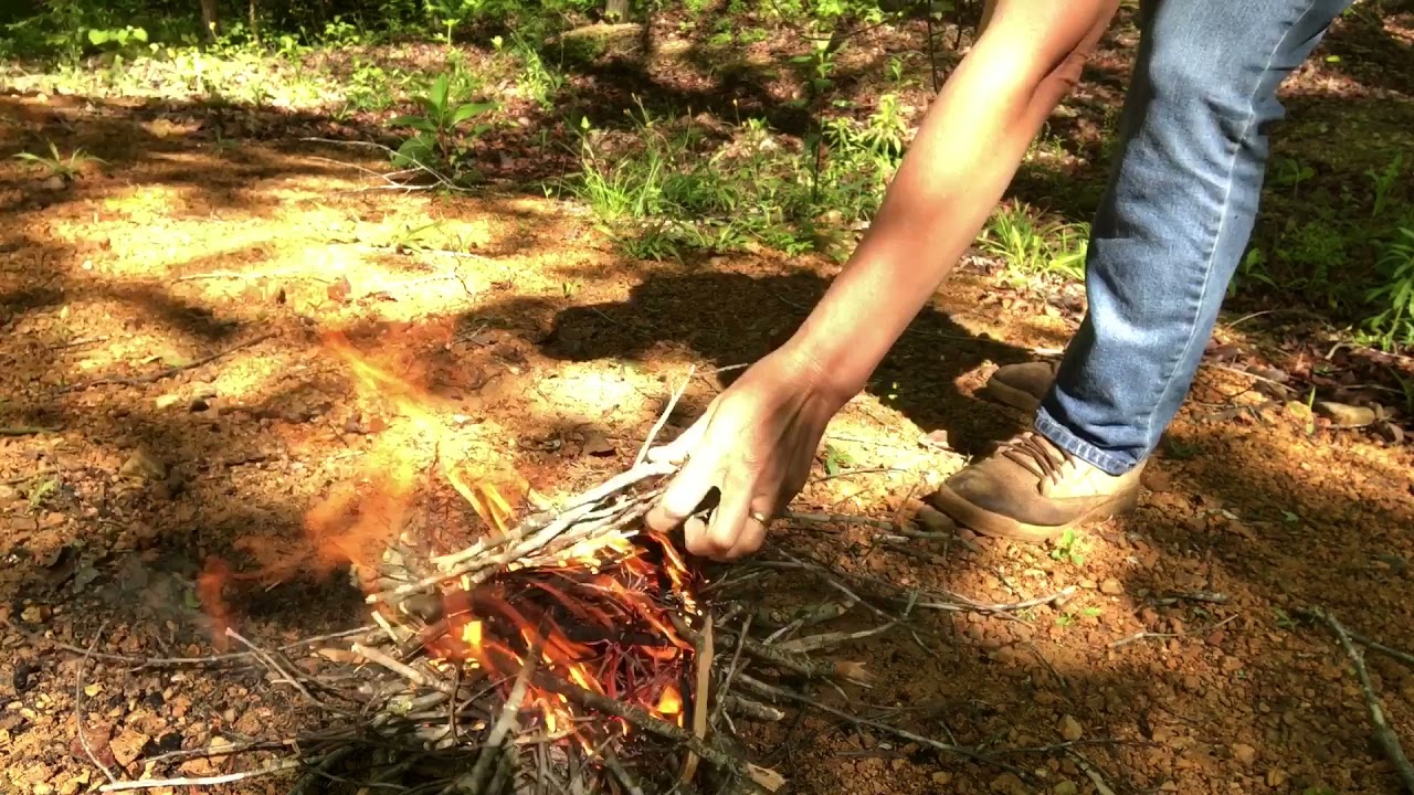 Camping 101 Building an Easy Campfire with Damp Wood YouTube