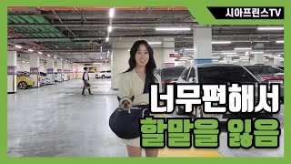 메가주 에서 건진 잇템 / 강아지 슬링백 & 애견가방 추천 | 투들리 애견용품 리뷰