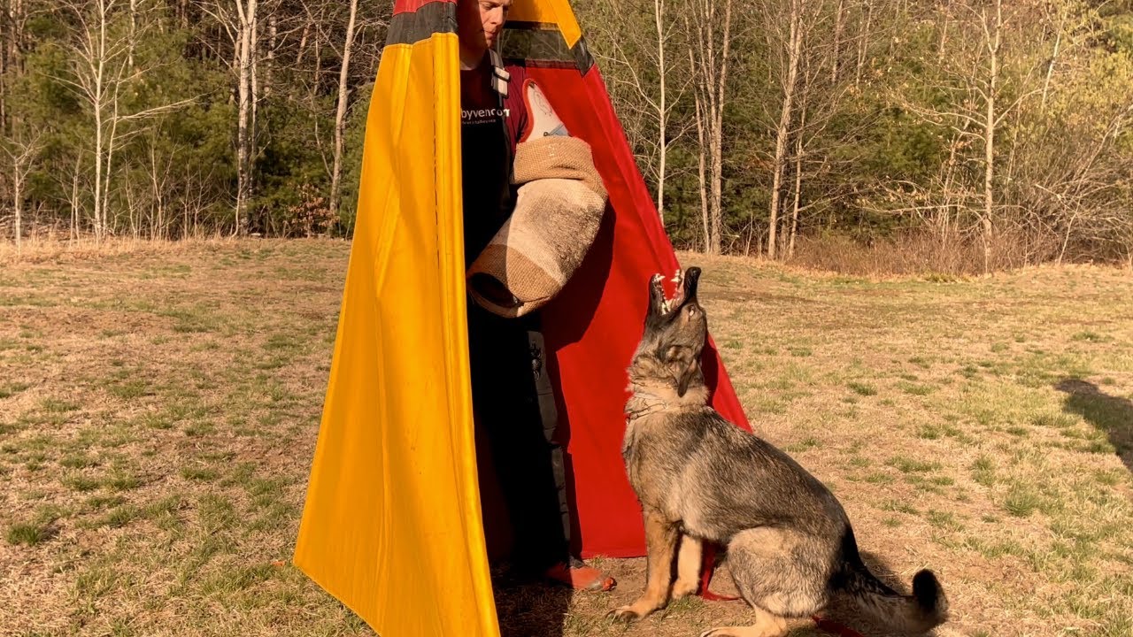 Sushi vom Quellwasser - protection