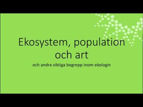 Video: Vad är en population och art?