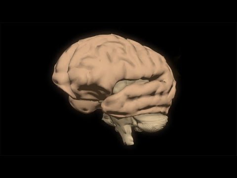 مرض ألزهايمر