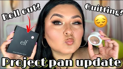 2022 PROJECT PAN UPDATE #6 // YEAR LONG ROLLING PROJECT 5 PAN!✨