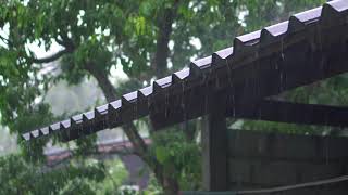 The Sound of Rain Complimented by Relaxing, Calming Instrumental Background Music