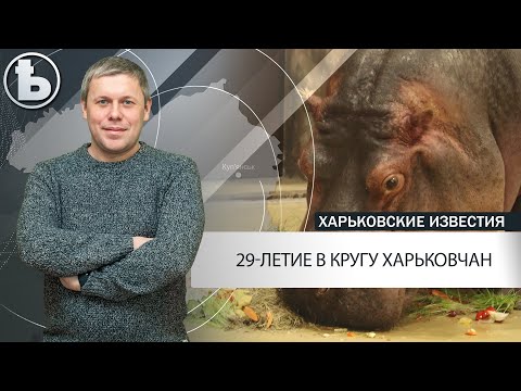 Бегемотиха Степанида из Харьковского зоопарка отпраздновала День рождения