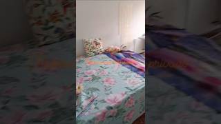 #logement #home #colocation