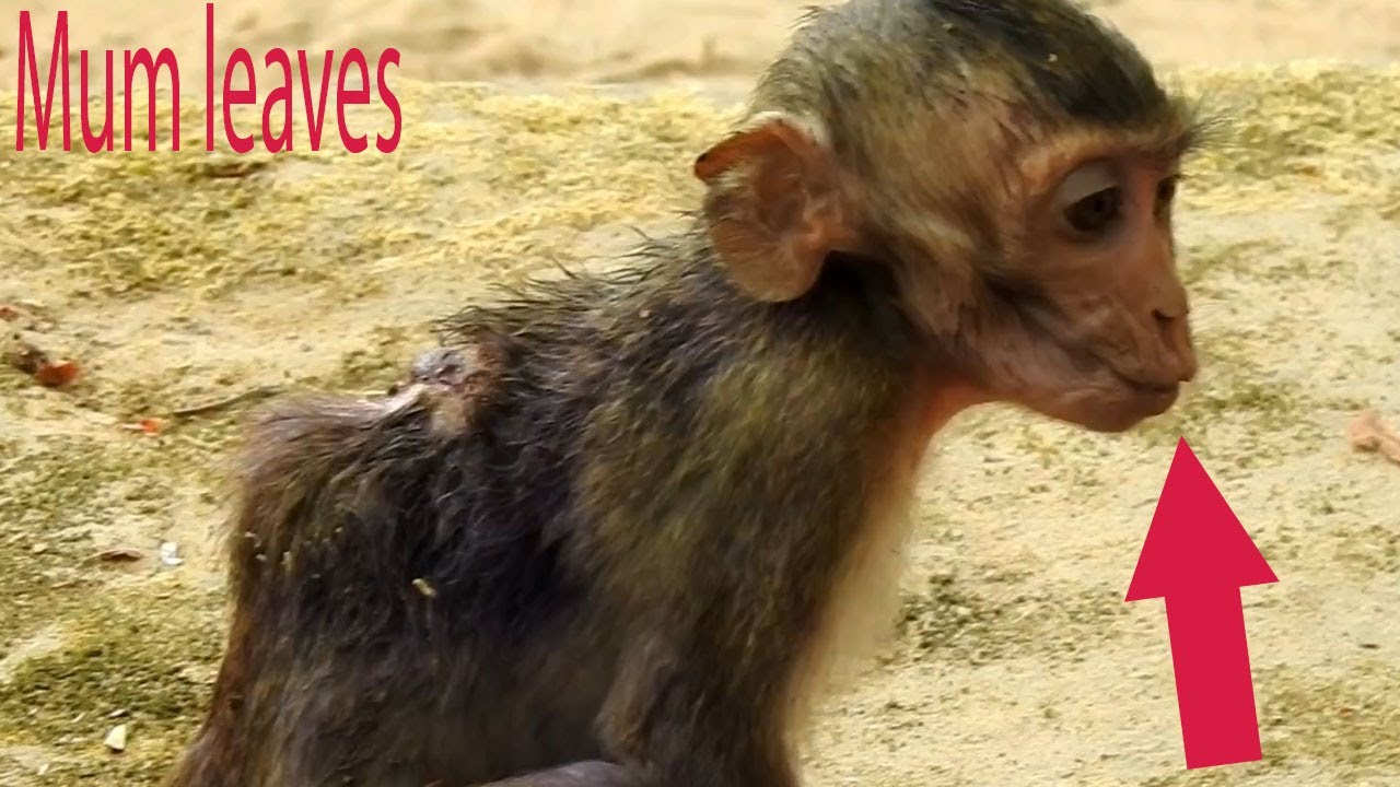 OMG! Million pity Jane leave her poorest patient Janna alone, Janna cries move hard follow mum Jane