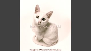 Understated Calming Kittens