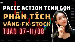 ✅ Phân Tích VÀNG-FOREX-STOCK Tuần 07-11/08 Theo Phương Pháp Price Action Tinh Gọn | TraderViet
