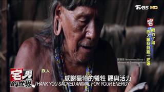 南美發現原始部落 為爬樹進化成6腳趾 宅男的世界 20170210 部落 検索動画26 南美發現原始部落 為爬樹進化成6腳趾 宅男的世界 20170210 部落 検索動画 26