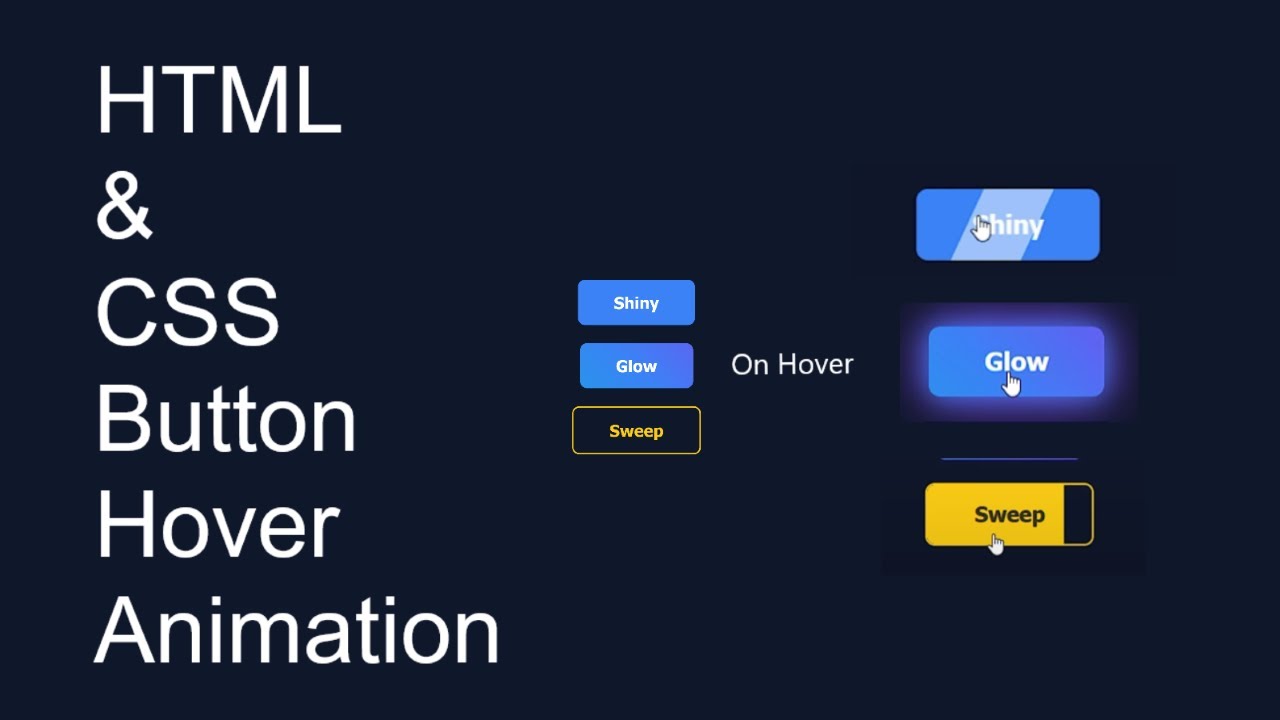 HTML & CSS Button Hover Animation | Beginner Friendly  |  