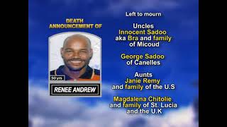 Renee Andrew long