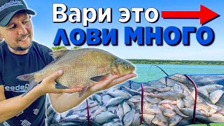видео: РЫБАЛКА НА ФИДЕР!  80 КГ РЫБЫ ЗА СУТКИ! ЗАБРОДИВШАЯ КУКУРУЗА! картинка: РЫБАЛКА НА ФИДЕР!  80 КГ РЫБЫ ЗА СУТКИ! ЗАБРОДИВШАЯ КУКУРУЗА!