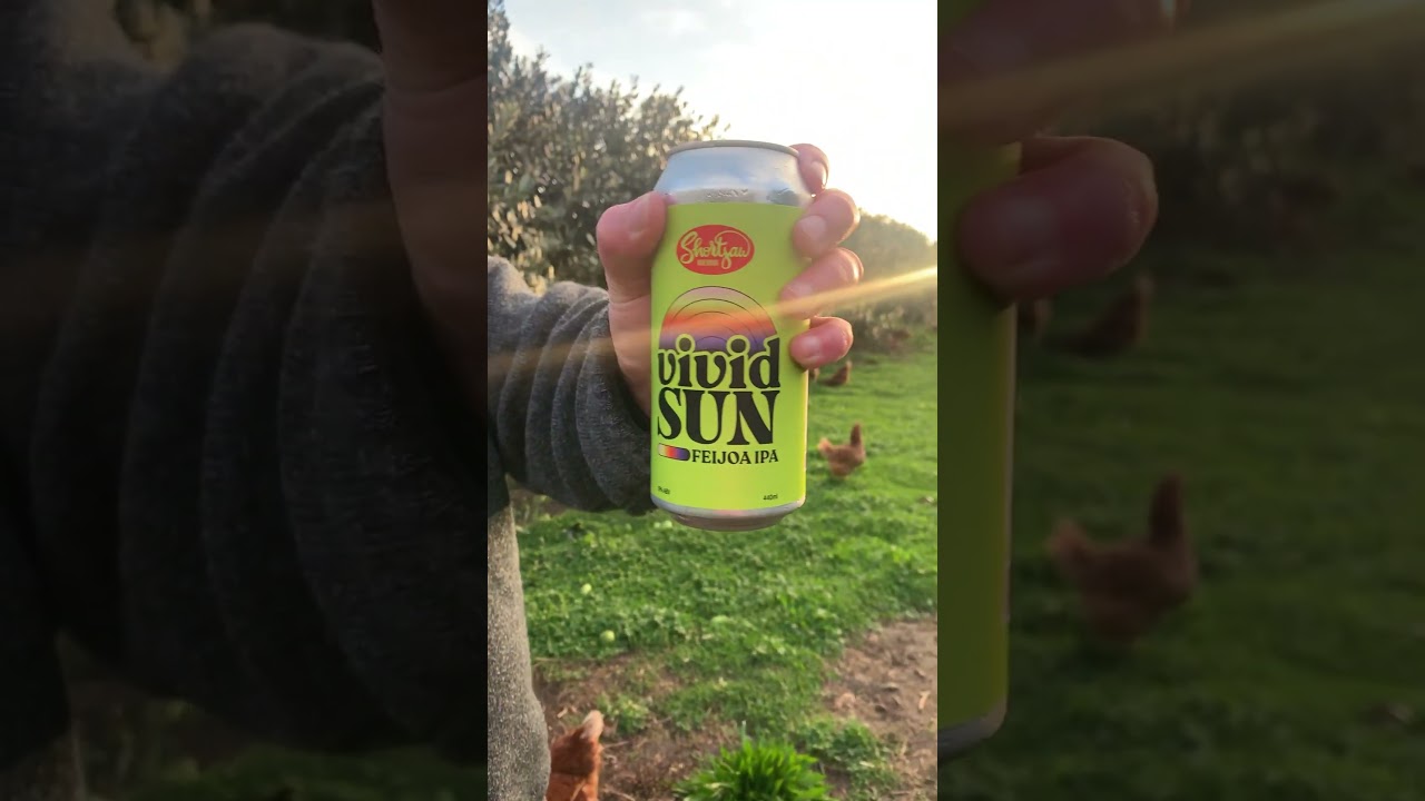 Wait… My Feijoas Got Turned Into Beer?! 🍺🌱 | Vivid Sun Feijoa IPA