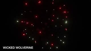WICKED WOLVERINE 2102082 1