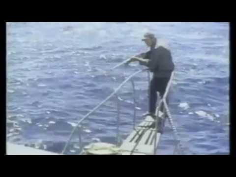 Jaws With and Without Music