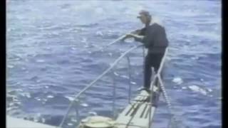 Jaws With And Without Music